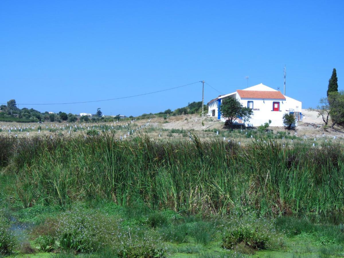 Vale Do Boto-Quinta Com 3 Casas Villa Castro Marim Buitenkant foto