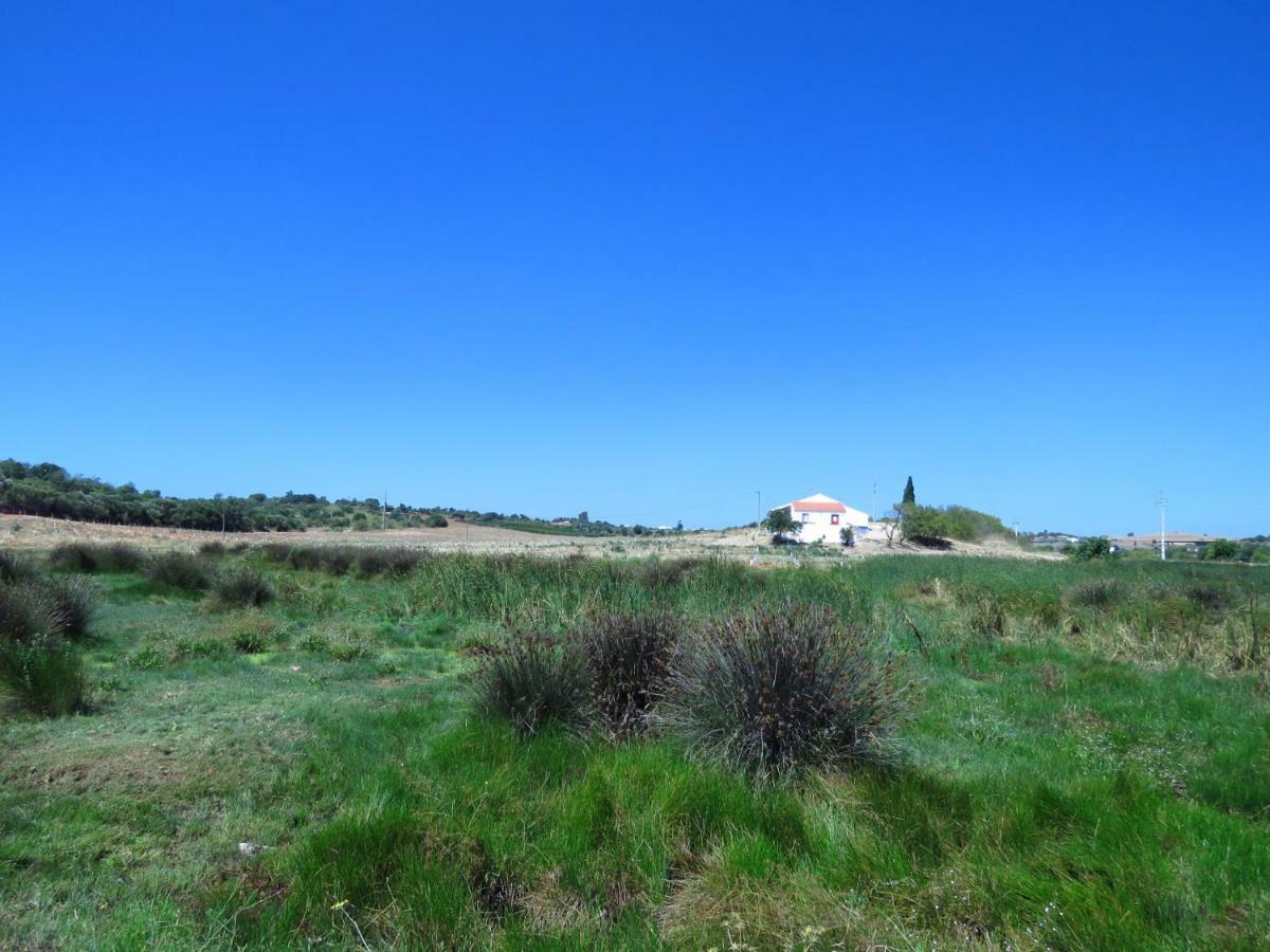 Vale Do Boto-Quinta Com 3 Casas Villa Castro Marim Buitenkant foto